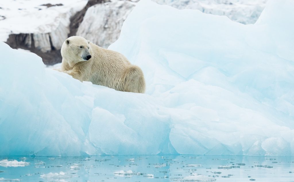 Svalbard