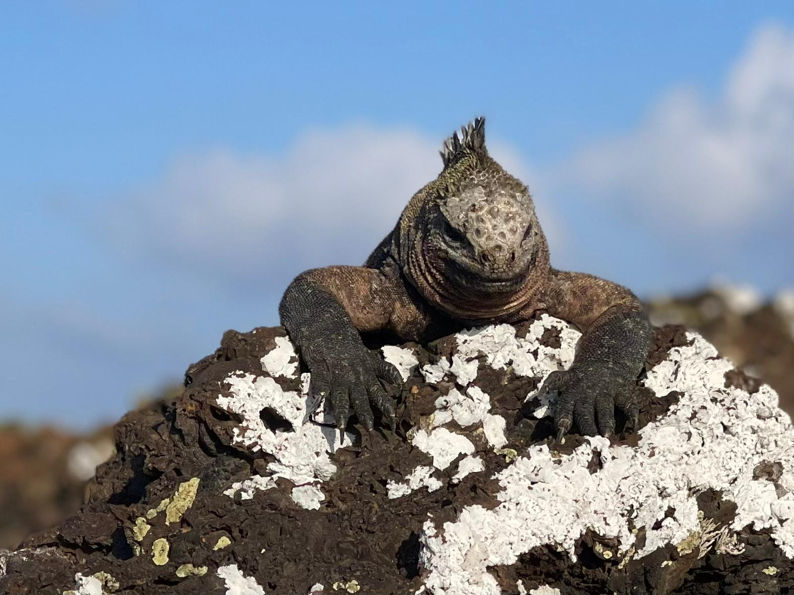 Galapagos_WWF Travel