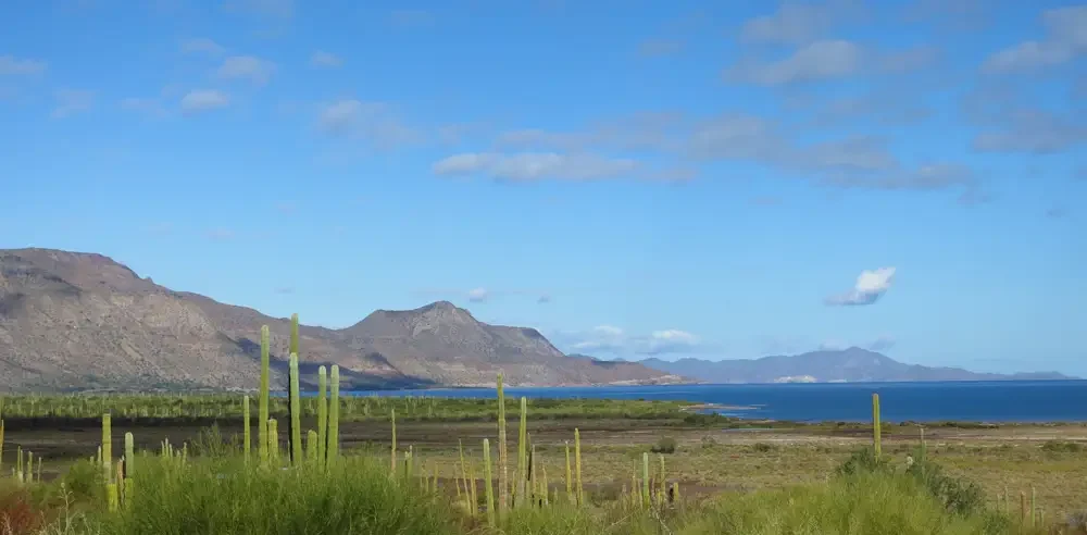 Cabo Pulmo-1277_