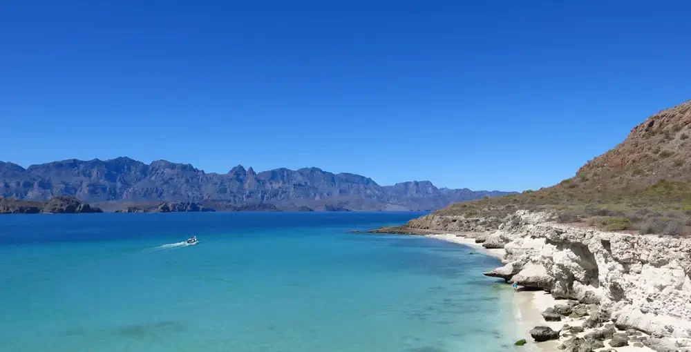 Cabo Pulmo-1575_