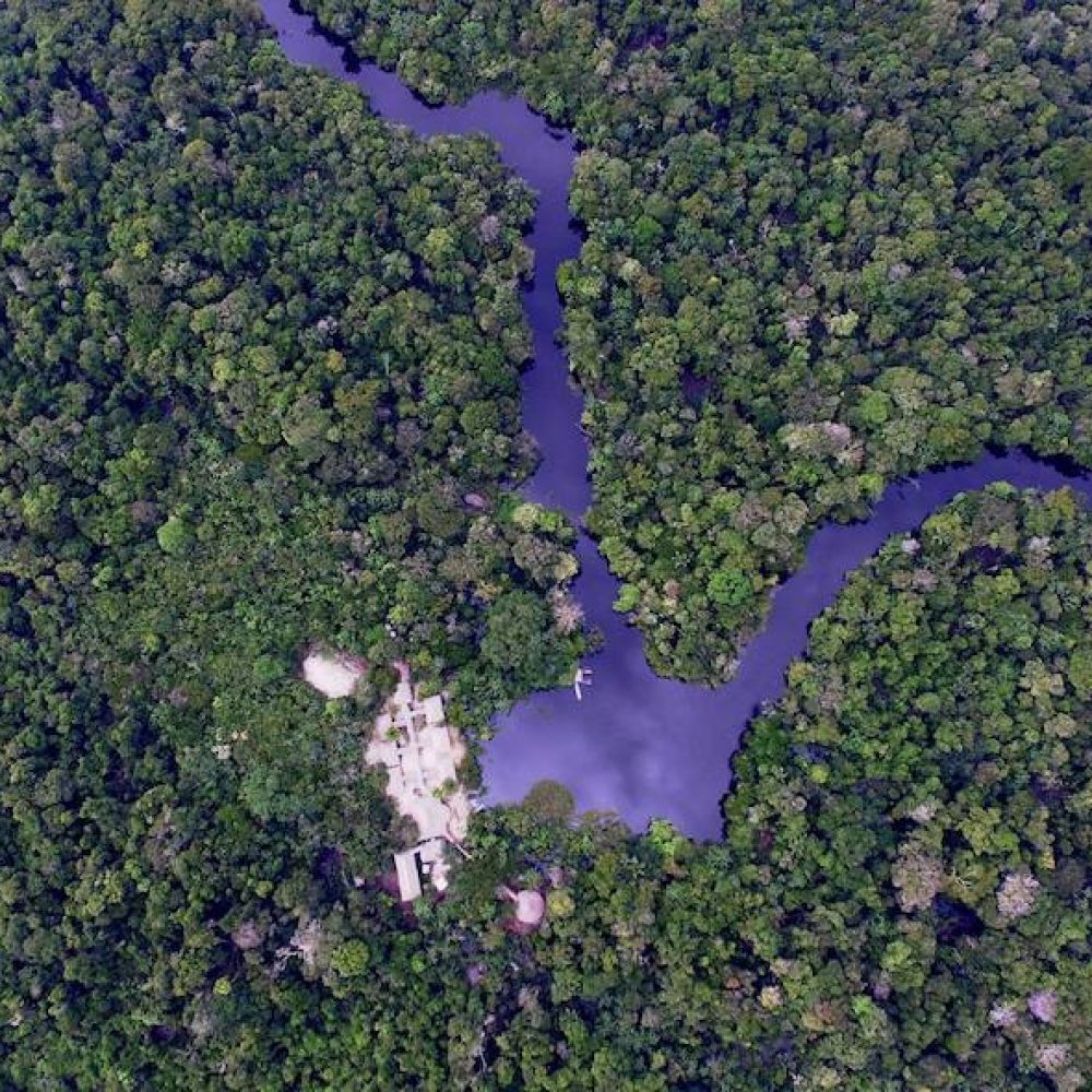 Amazonia Research Center  Perù