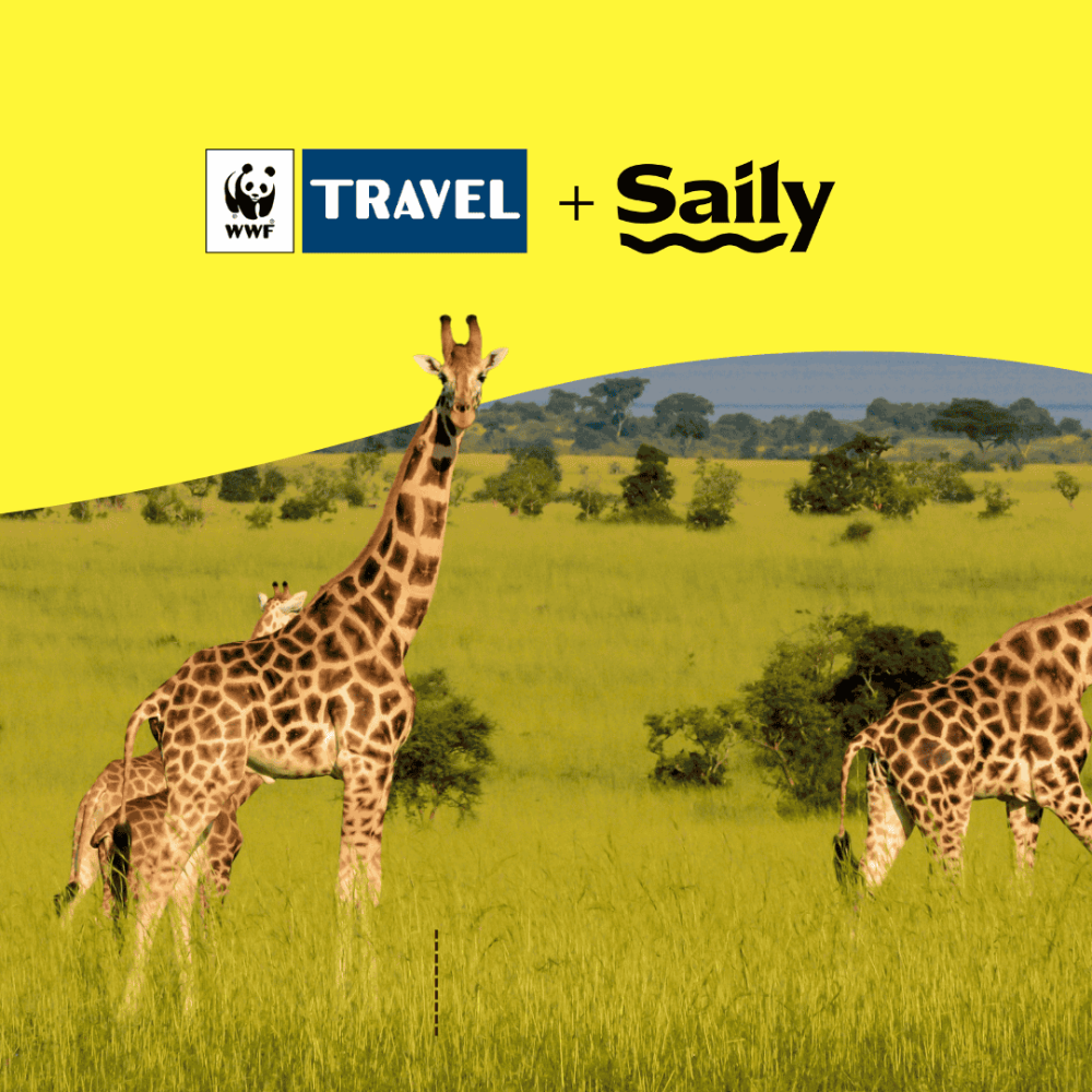 saily-wwftravel-convenzione-copertina